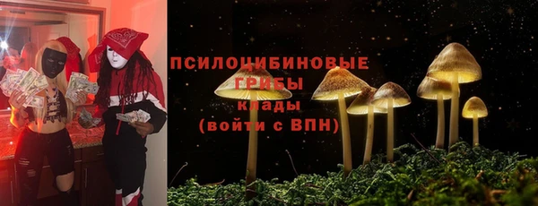 apvp Алзамай