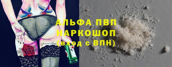 дмт Бикин