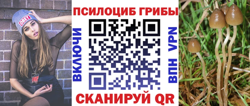 наркошоп  Дивногорск  Галлюциногенные грибы ЛСД 