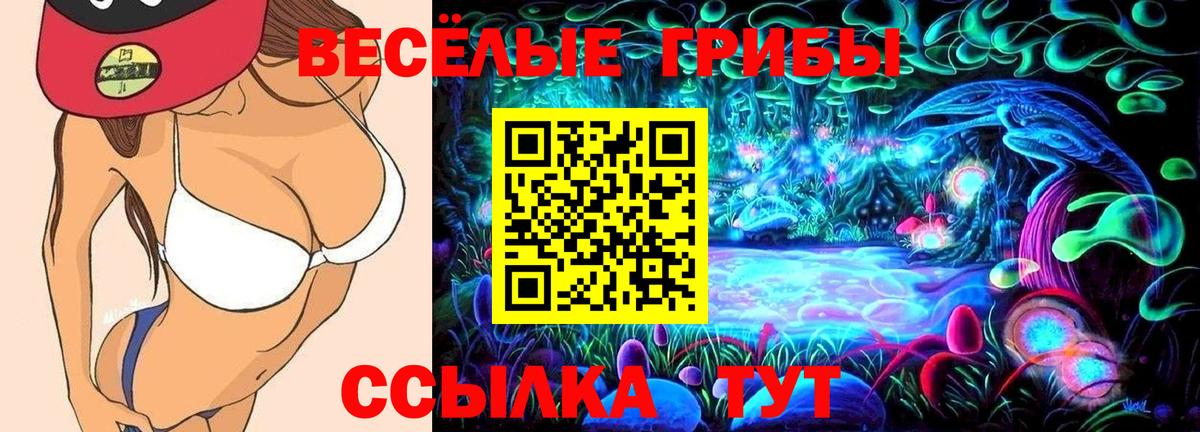 Дивногорск  купить закладку  Вход с VPN  Галлюциногенные грибы Cubensis 