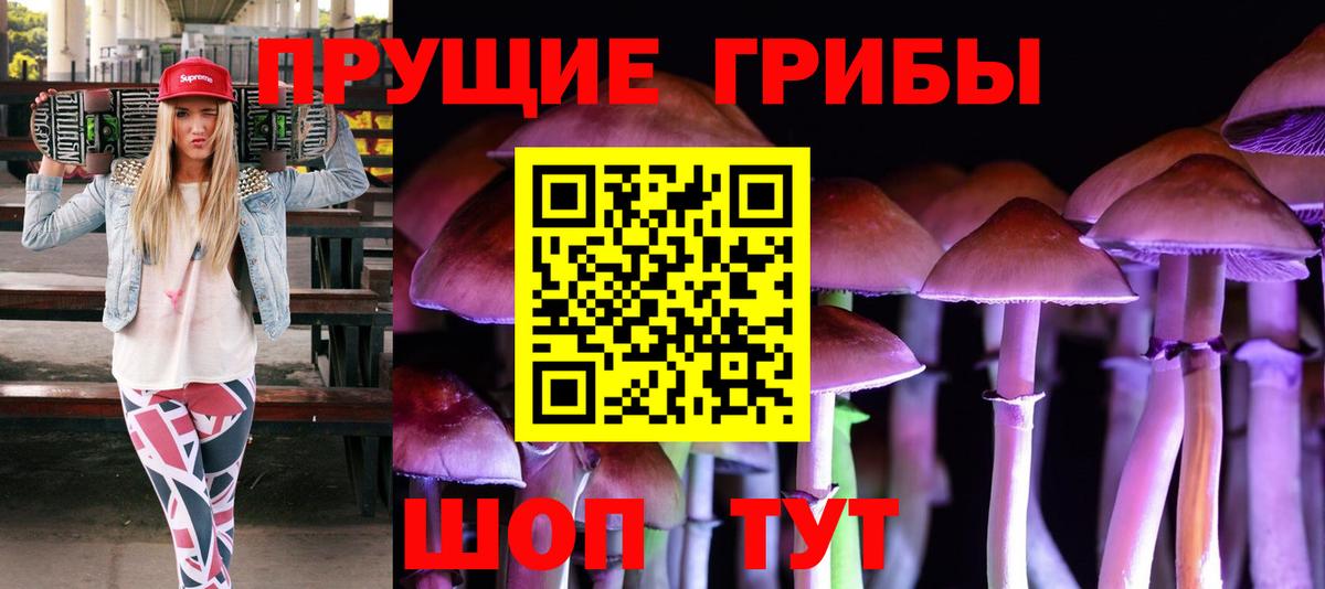 Псилоцибиновые грибы ЛСД Дивногорск